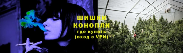 индика Беслан