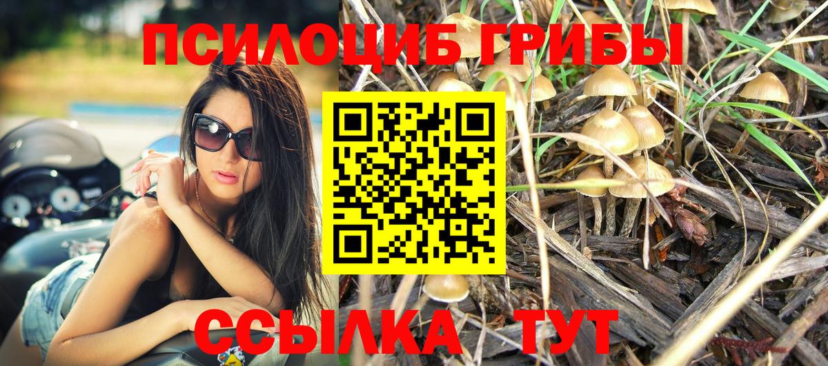 Галлюциногенные грибы ЛСД  Вход с VPN  Кизляр 
