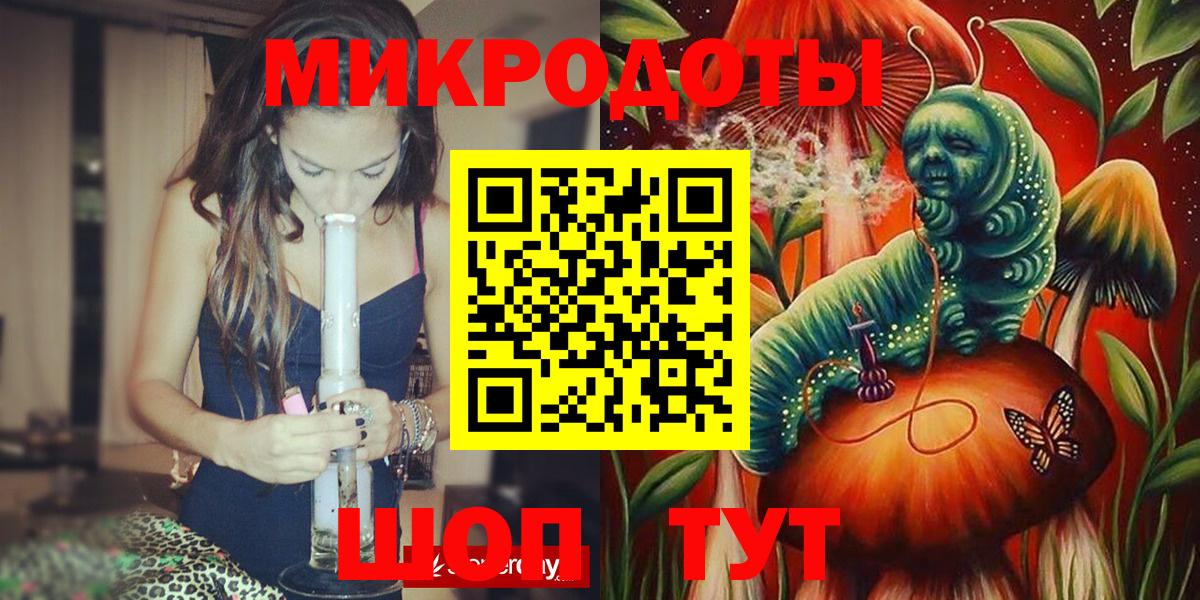 Галлюциногенные грибы Psilocybe Кизляр