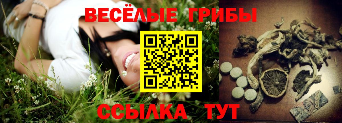 Псилоцибиновые грибы GOLDEN TEACHER Кизляр