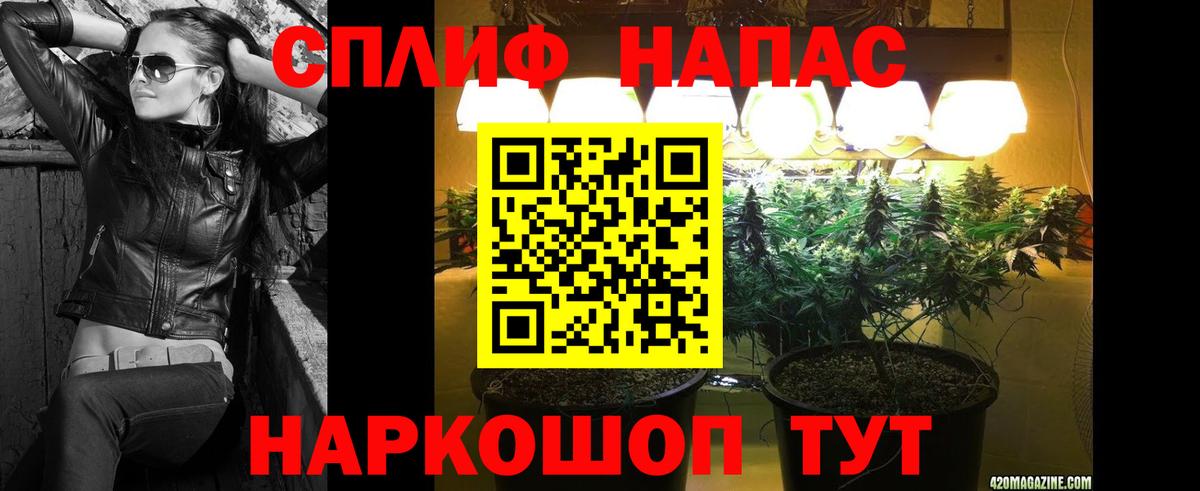 Бошки Шишки LSD WEED Кизляр